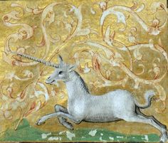 unicorn illumination