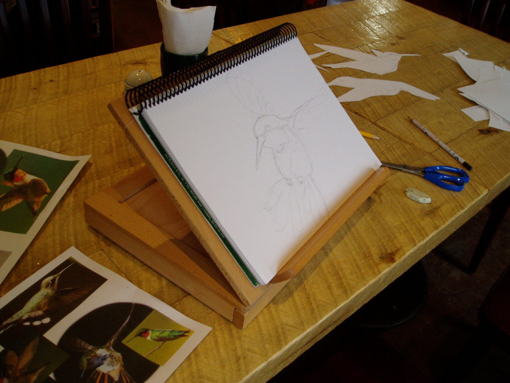 drawing hummingbirds