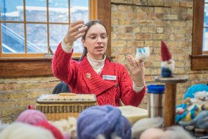 Loon Needle Felting Kit by Laura Berlage – North House Folk School